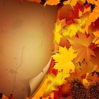 bakgrund hösten orange löv med pappersrullar vektor