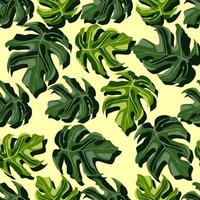 Zufälliges helles botanisches nahtloses Monstera-Muster. exotische grüne Blätter auf hellgelbem Hintergrund. vektor