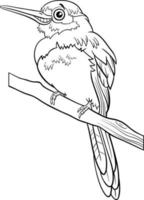 Cartoon Jacamar Vogel Tiercharakter Malbuch Seite vektor