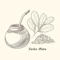 yerba mate drink. traditionell sydamerikansk drink. kalabas, bombilla vektor