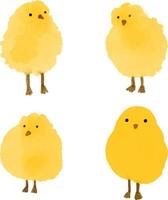 vektorillustrationen von kleinen gelben hühnern des aquarells. handgezeichnetes, künstlerisches Farbbild von Hühnern im Aquarellstil auf weißem Hintergrund. babyparty, osterkartendesign. vektor