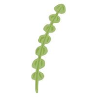tång isolerad på vit bakgrund. dekorativ symbol marina alger grön färg. skiss i stil doodle. vektor