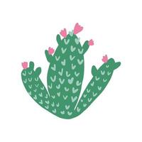 süßer stacheliger grüner Kaktus. Kakteenblüte isoliert auf weißem Hintergrund. Kaktus im Doodle-Stil. vektor