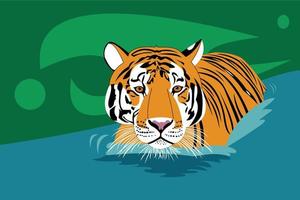 en tiger i vatten på en grön bakgrund. vektor