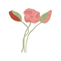 Set Mohn mit Stengel und Bubs isoliert auf weißem Hintergrund. Zusammensetzung Frühlingsblumen rosa und rot. vektor