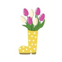 Blumenstrauß aus weißen und rosa Tulpen in einem gelben Stiefel mit weißen Tupfen Hallo Frühlingsgartenarbeit vektor