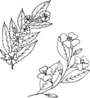 Blumen auf Zweigen setzen Symbol, Aufkleber. skizzieren Sie handgezeichneten Doodle-Stil. monochromer Minimalismus. Gästebuch, Frühling, Blüte, Blumen, Sommer, Hochzeit. vektor