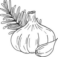 Knoblauch und Rosmarin. Symbol, Beschriftung, Menü. Skizze handgezeichnetes Gekritzel. monochromer Minimalismus. Essen, Gewürz. vektor