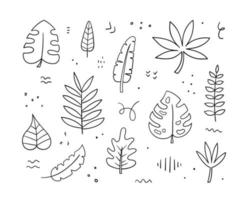 handritad exotiska blad samling. doodle skiss stil. palm, banan, monstera, araliablad. botaniska linjära designelement. vektor illustration.