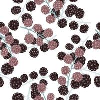 nahtlose isolierte Muster mit Doodle Brombeeren. weißer Hintergrund. vektor