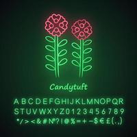 Symbol für Candytuft-Neonlicht. Astergartenblume mit Namensaufschrift. Iberis immergrüne mehrjährige Pflanze Blütenstand. blühende Wildblume. leuchtendes alphabet, zahlen. vektor isolierte illustration