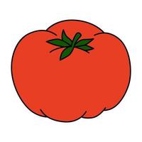 Cartoon-Vektor-Illustration von Tomaten isoliert auf weißem Hintergrund. reifes frisches gemüse vektor