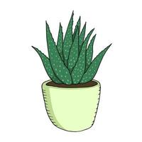 aloe vera i doodle stil. söt tecknad växt i kruka. färgglada vektorillustration isolerad på vit bakgrund vektor