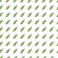 modernes tropisches nahtloses Muster mit den grünen Blättern lokalisiert auf weißem Hintergrund. vektor