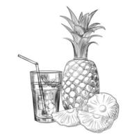 Ananas-Fruchtcocktail-Skizze. Scheiben Ananas. vektor