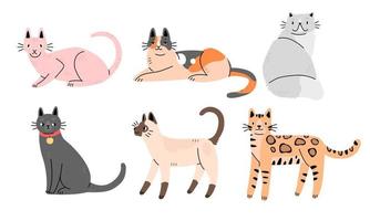 eine reihe süßer katzen verschiedener rassen im flachen karikaturstil. sammlung von charakteren von katzen. Vektor-Illustration.