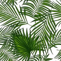 abstraktes nahtloses muster der exotischen pflanze. Tapete aus Palmblättern. vektor