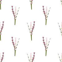 isoliertes nahtloses muster mit handgezeichnetem ornament aus lila lavendel. weißer Hintergrund. Aromablumen drucken. vektor