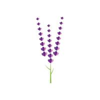 färsk lavendel blomma logotyp vektor platt design