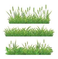 gräs lämnar realistiska banderoller vektor