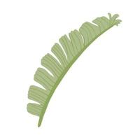 tropisches Bananenblatt isoliert auf weißem Hintergrund. abstraktes botanisches Element grüne Farbe. Skizze im Stil Doodle. vektor