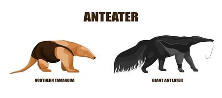 set myrslokar illustration på isolerade vit bakgrund. vektor illustration två djur från Sydamerika jätte myrslok och tamandua norra.