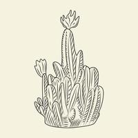 vilda kaktusar skiss. parodia kaktus isolerad på ljus bakgrund i handritad stil. vektor