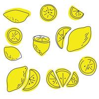 set med kontur citroner klotter på en färgad fläck, gula saftiga citrusfrukter hela, halvor och skivor för design vektor