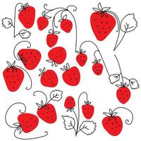 set med konturjordgubbsklotter på en färgad fläck, röda saftiga frukter eller bär för design vektor
