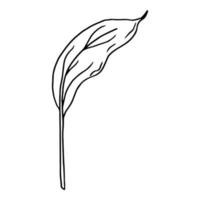 Calla-Blume-Konturlinie lokalisiert auf einem weißen Hintergrund. Reihe von Schwarz-Weiß-Illustrationen. Kritzeleien. elegante Blumen für Liebhaber, Hochzeit, Dekoration, Postkarten. Vektor