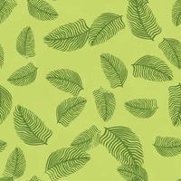 abstraktes nahtloses muster des palmblattes mit hand gezeichnetem laubdruck. einfacher Dschungelhintergrund. vektorillustration für saisonale textildrucke. vektor