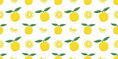 Yuzu japanische Zitronenfrucht nahtlose Muster-Vektor-Illustration isoliert auf weißem Hintergrund. vektor