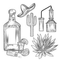 set med tequila. snapsglas och flaska tequila, salt, lime, blå agave, kopparkub, sombrero, kaktus. vektor
