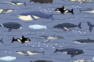 nahtlose musterwale auf blau mit wellen und wischhintergrund. Druck von Zeichentrickfiguren des Ozeans im skandinavischen Stil für Kinder. vektor