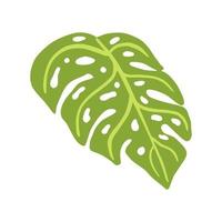 tropische Blätter isoliert auf weißem Hintergrund. abstraktes botanisches element monstera. Skizze im Stil Doodle. vektor