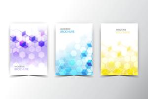 polygonal flyer samling vektor