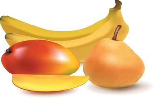 banan persika frukt vektor