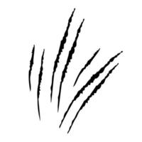 Krallen-Kratzer-Symbol isoliert auf weißem Hintergrund. mehrere Formen wilder Tiere. vektor