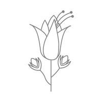 schöne Lilie Linien Blume Logo Symbol Vektor Icon Illustration Grafikdesign