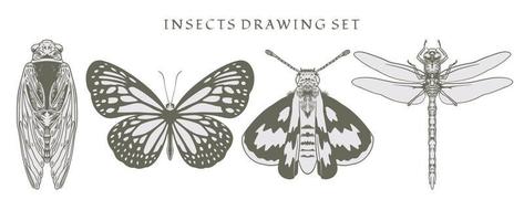 set element insekter, skalbagge, trollslända och fjärilar i hand ritade vektor