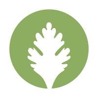 Kreis frisches grünes Sellerieblatt Logo Design Vektor Symbol Symbol Illustration