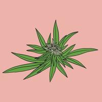 enkelhet cannabisblad frihandsritning platt design. vektor