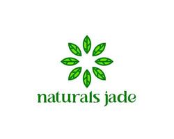 naturlig jade logotyp. grön ädelsten smaragd logotyp. lyxsmycken och hotellets logotyp vektor