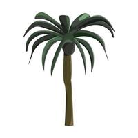 realistisk grön palm isolerad på vit bakgrund - vektor
