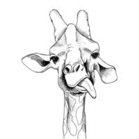 söt tecknad trendig design liten giraff vektor