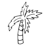 lineare palme des karikaturgekritzels lokalisiert auf weißem hintergrund. vektor