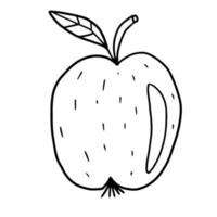 süßer handgezeichneter Doodle Big Apple mit Blatt isoliert auf weißem Hintergrund. Essen oder Snack. vektor
