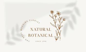 botanisches florales element handgezeichnetes logo mit wilden blumen und blättern. logo für spa- und schönheitssalon, boutique, bioladen, hochzeit, blumendesigner, innenausstattung, fotografie, kosmetik. vektor