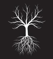 Form eines weißen Baums mit Wurzeln. Vektor-Umriss-Illustration. Pflanze im Garten. vektor