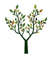 grüner Baum. Vektor-Umriss-Illustration. Pflanze im Garten. vektor